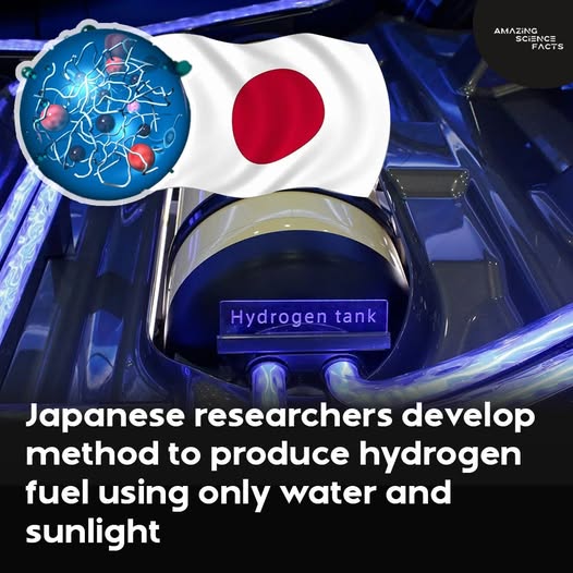 Hydrogen From Water and Sunlight