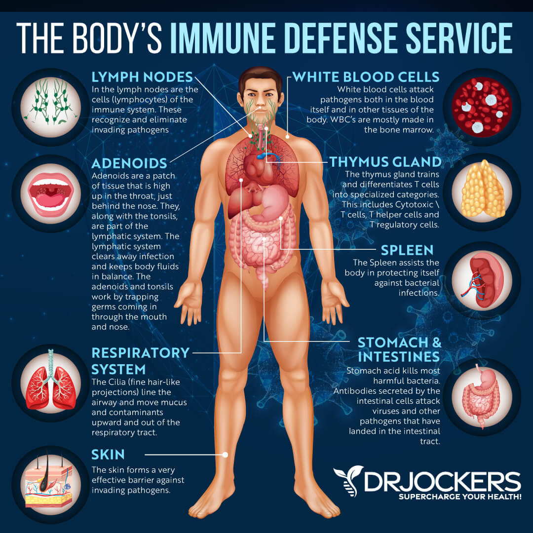 Immune Defense System