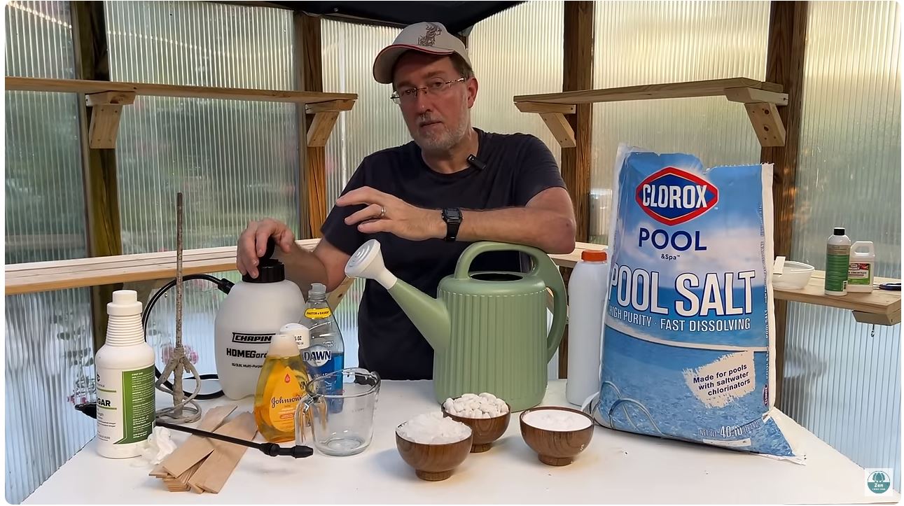 Three Ingredient Weed Killer