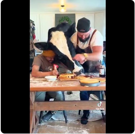 Greatest Cooking Show Ever?