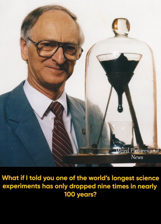 Professor Thomas Parnell