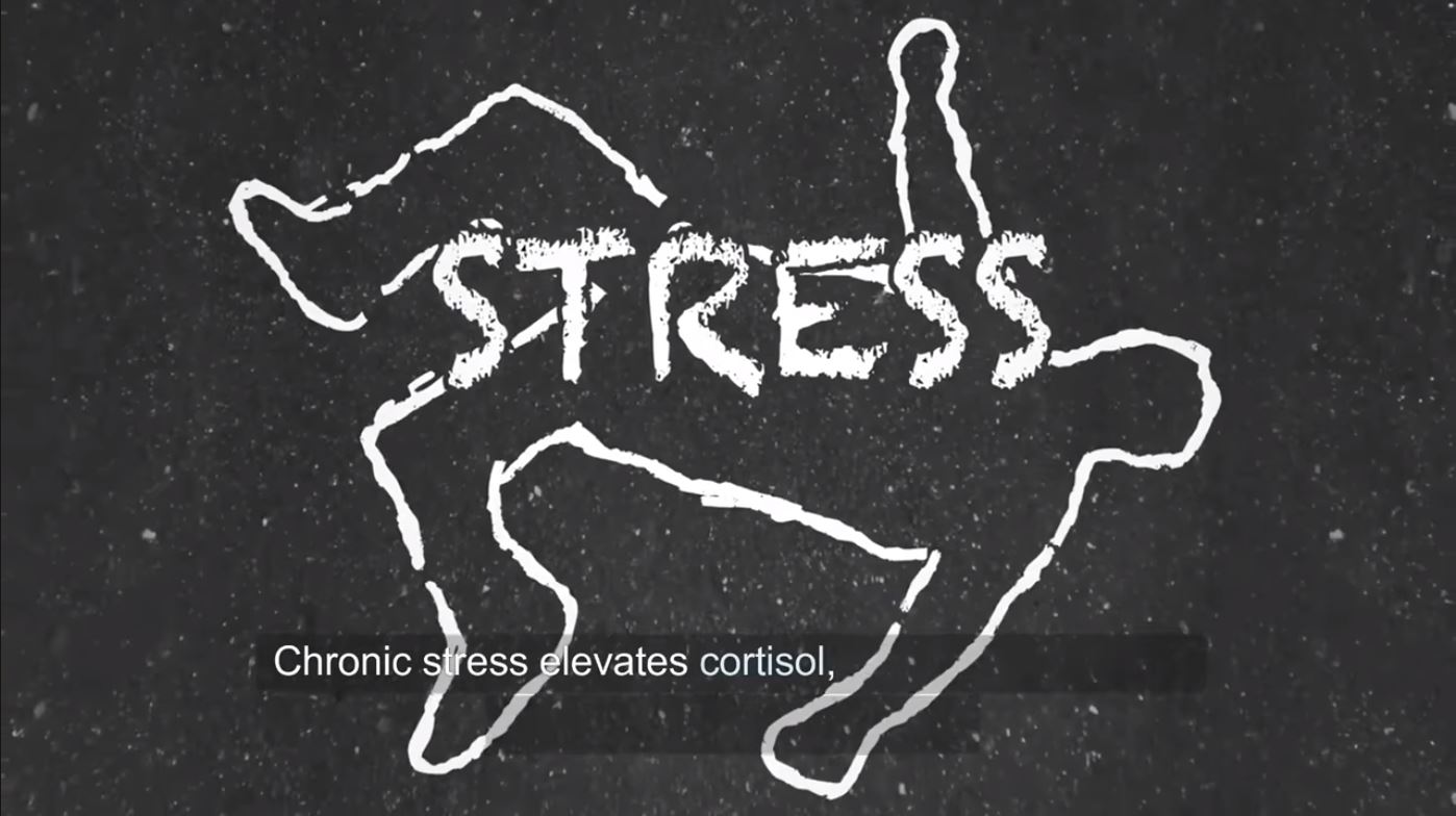 Stress Elevates Cortisol