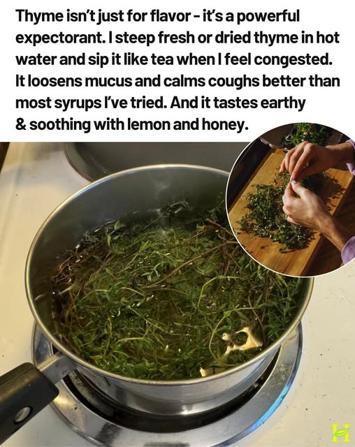 Thyme For Coughs