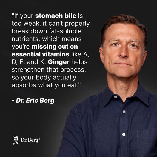 Dr Berg On Ginger