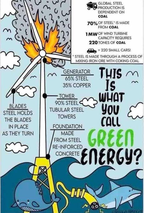 Green Energy Falsity