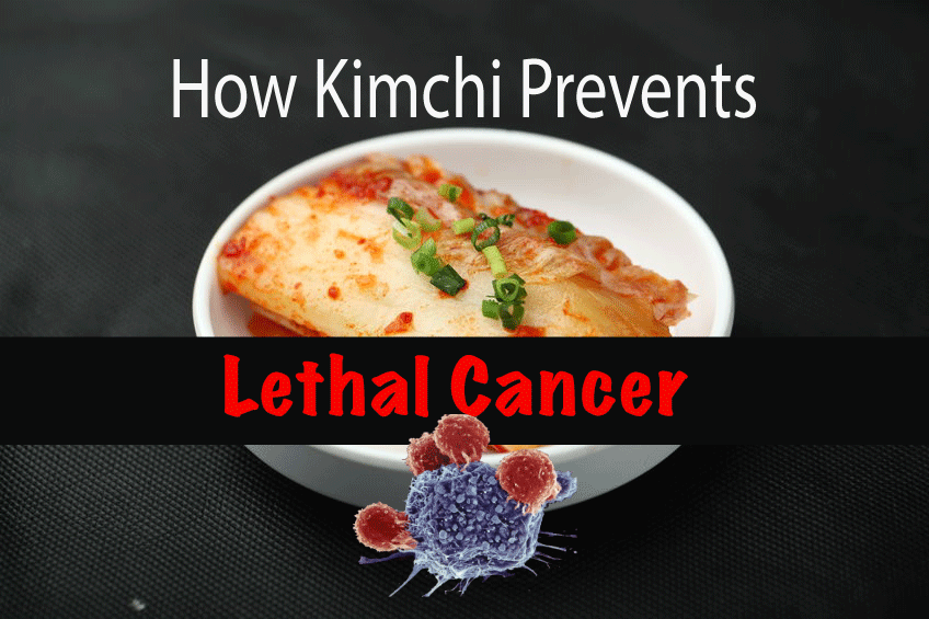 How Kimchi Prevents Cancer