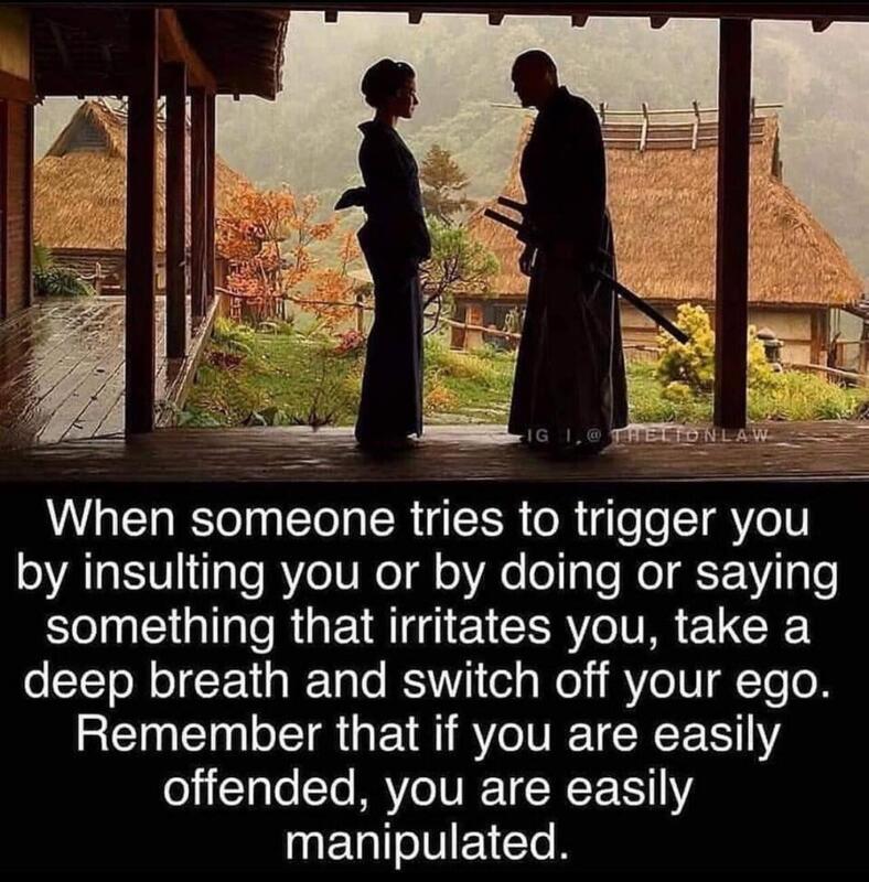 If You Are Easily Offended