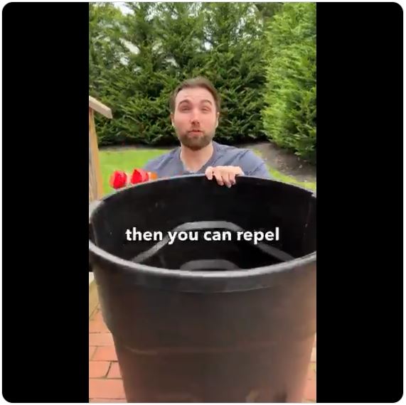 Natural Pest and Bug Control Hacks