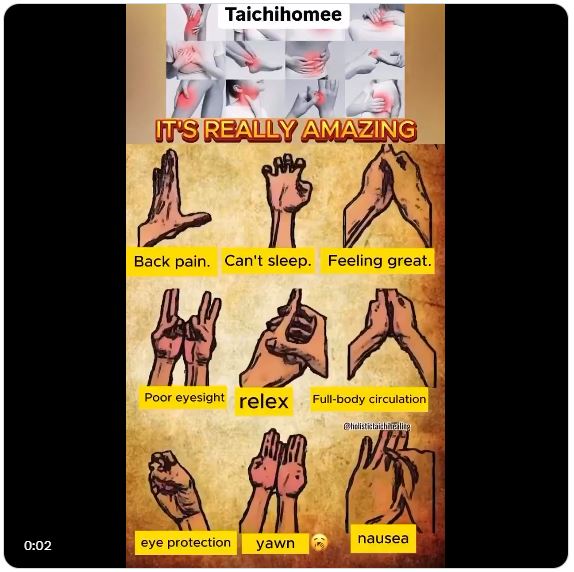 Taichihomee