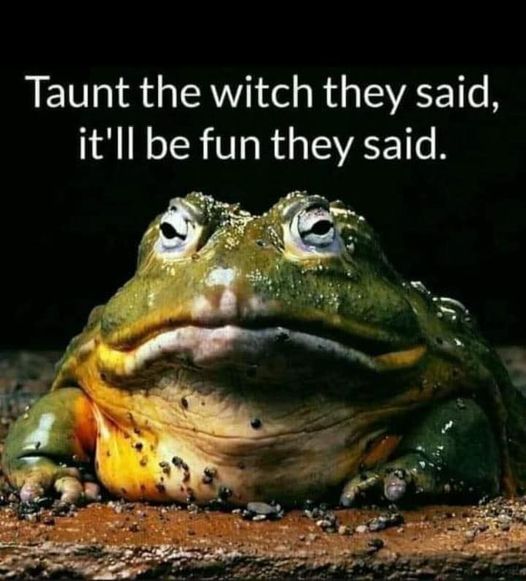 Taunt The Witch