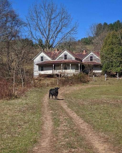 The House With Nobody In It