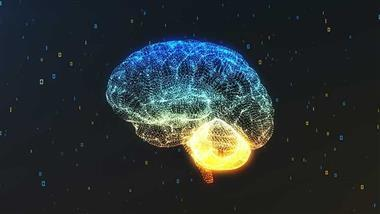 Inflammation alters mood and behavior