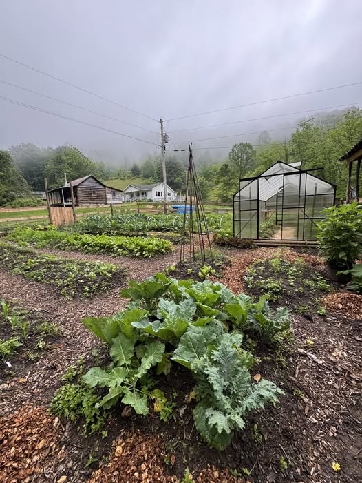Permaculture Passion