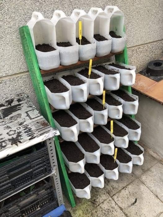 Seedling Containers