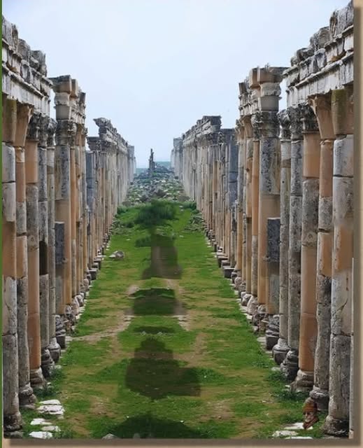 The Great Colonnade of Apamea