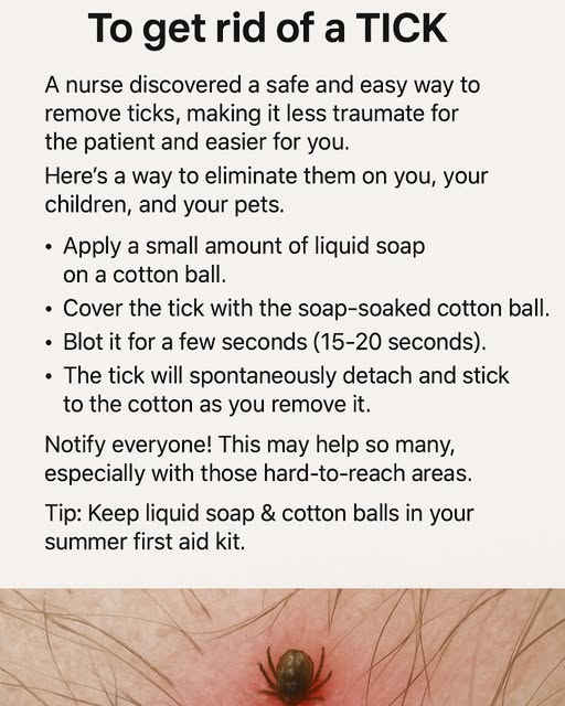 Tick Removal
