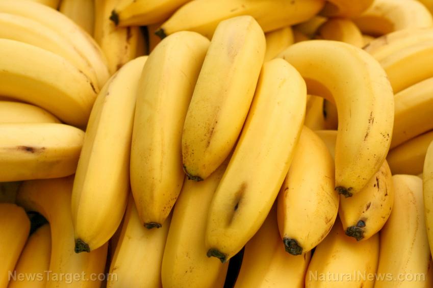 Bananas