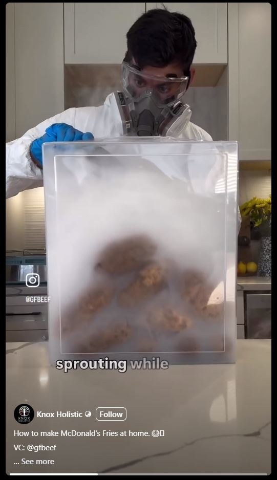Making French Fries