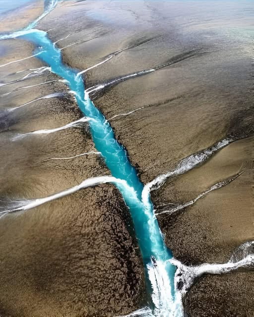 Montgomery Reef