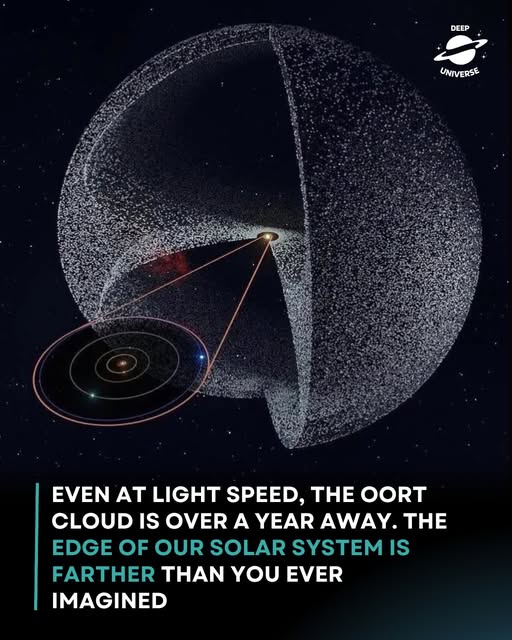 The Oort Cloud