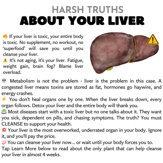 About Your Liver