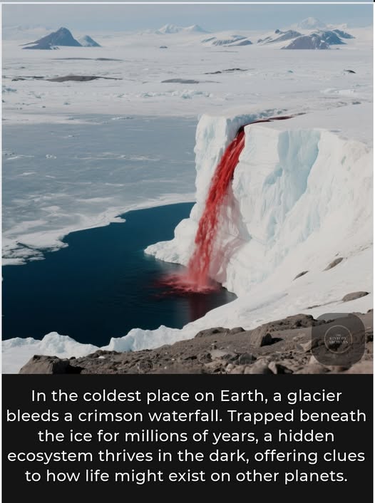 Blood Falls