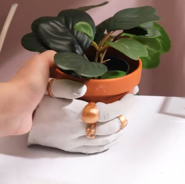 Custom PotPlant