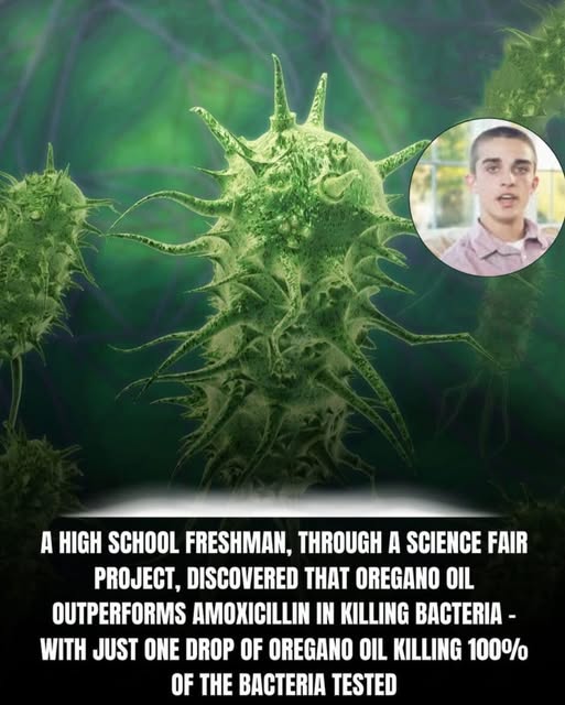 Oregano Oil Outperforms Amoxicillin