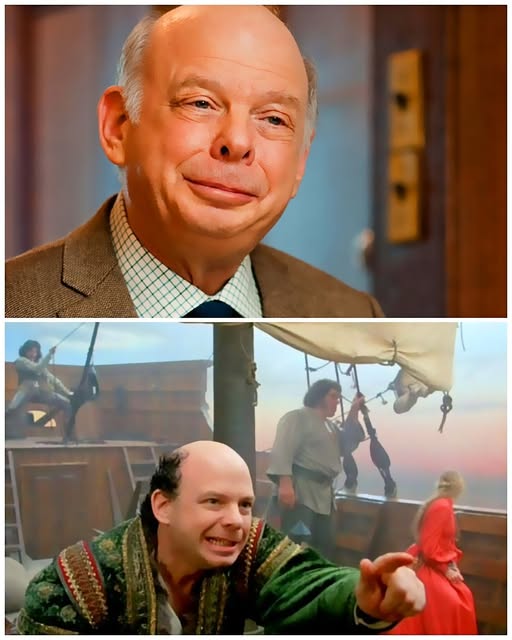 Rob Reiner as Vizzini