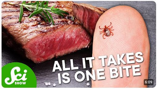 Tick Bite Meat Allergy