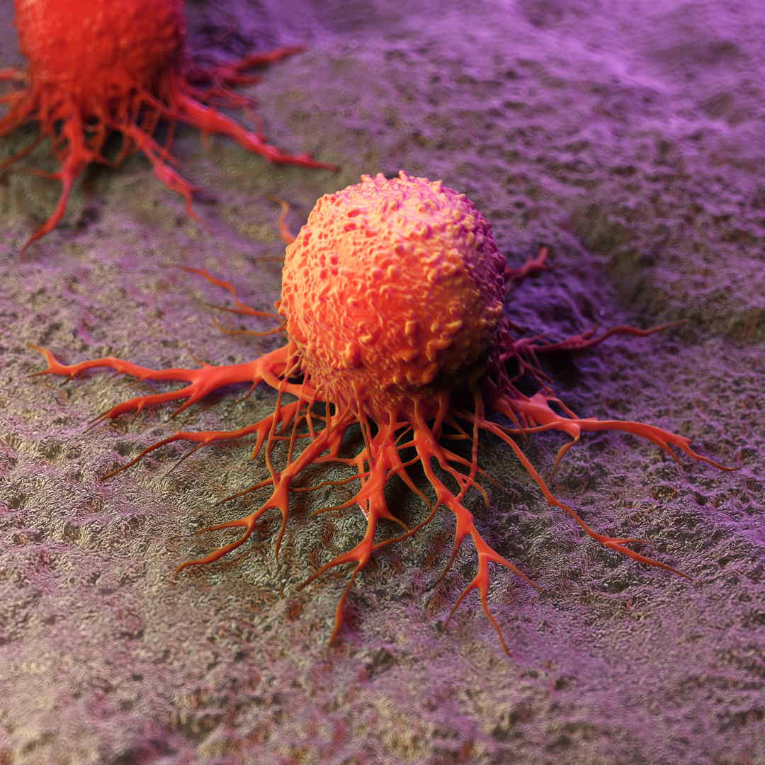 Cancer Cells