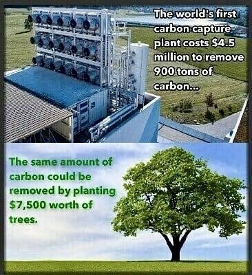 Carbon Capture Alternatives