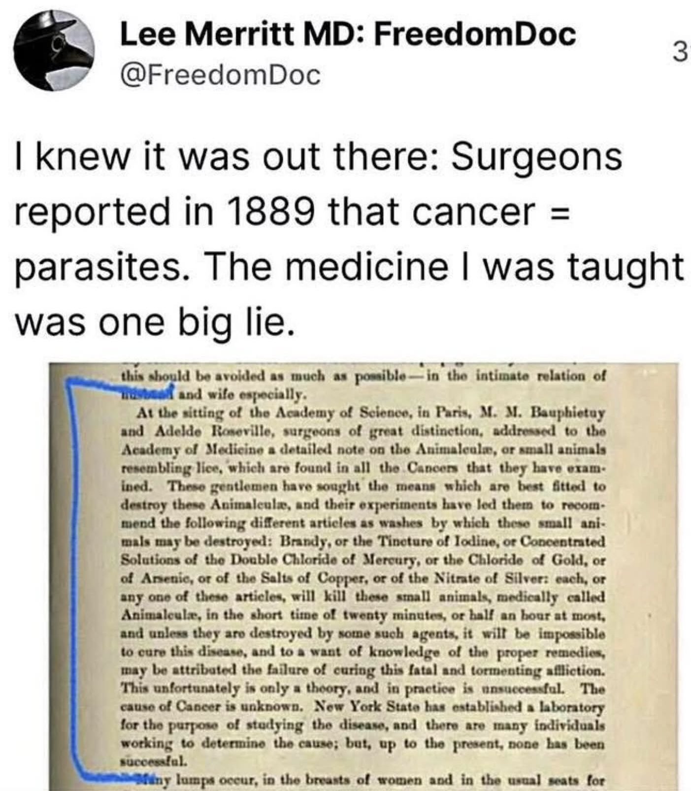Dr Lee Merritt Cancer Is Parasites