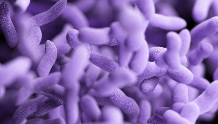 Gut Microbiome