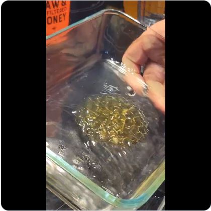 Honey Testing