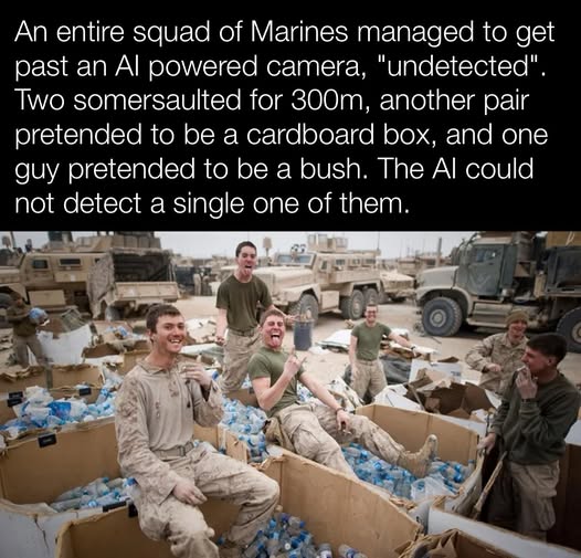 Marines Outsmart AI Camera