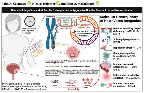 Molecular Dysregulation After mRNA Vaccine