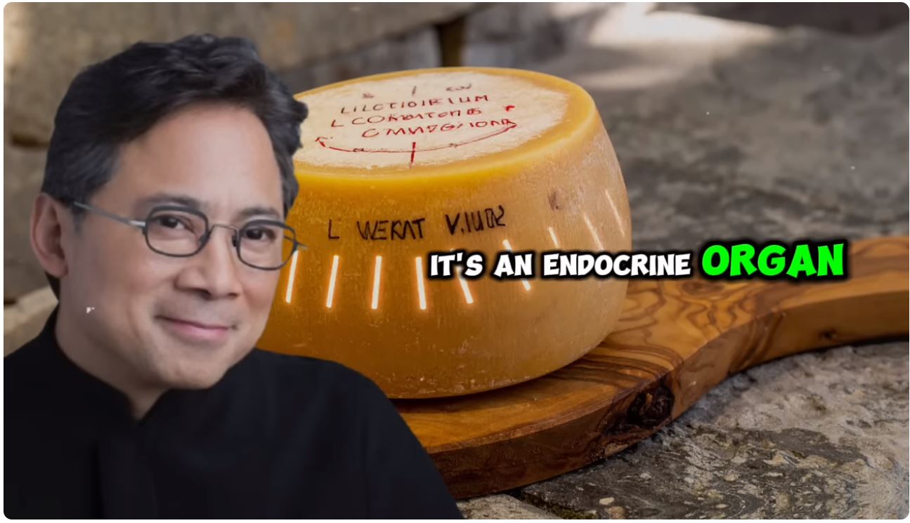 Muscle Is An Endocrine Organ