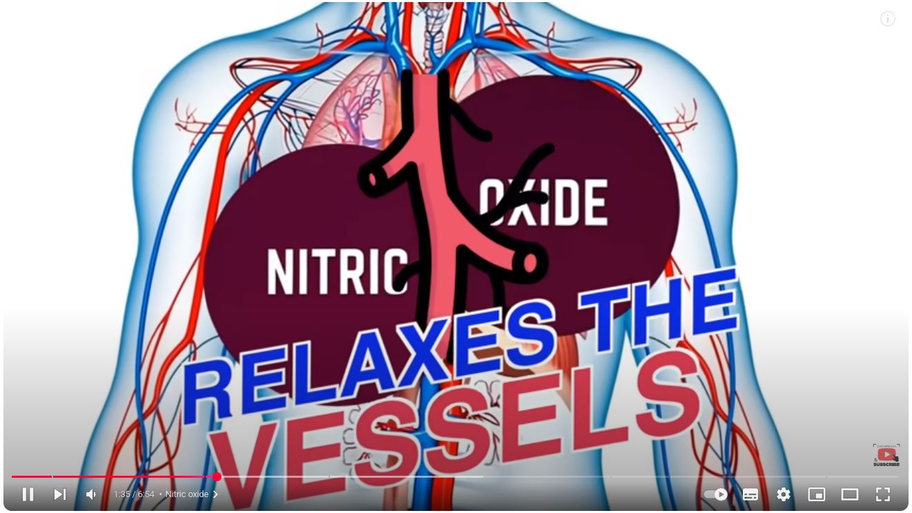 Nitric Oxide Relaxes Blood Vessels
