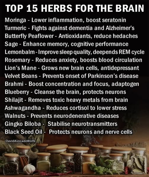 Top 15 Herbs For The Brain
