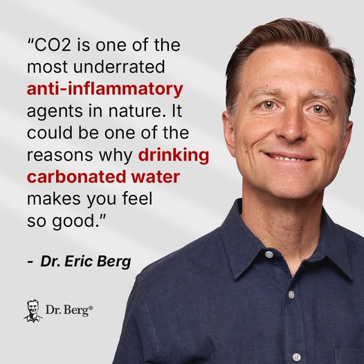 Dr Berg On Carbonated Water