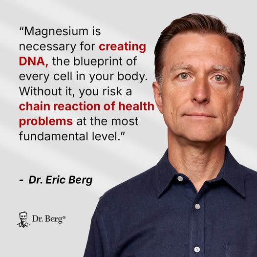 Dr Berg On Magnesium