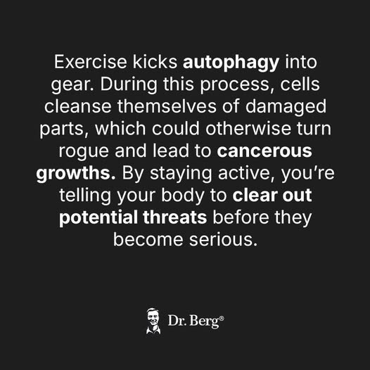 Exercise Stimulates Autophagy