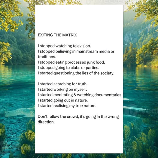 Exiting The Matrix