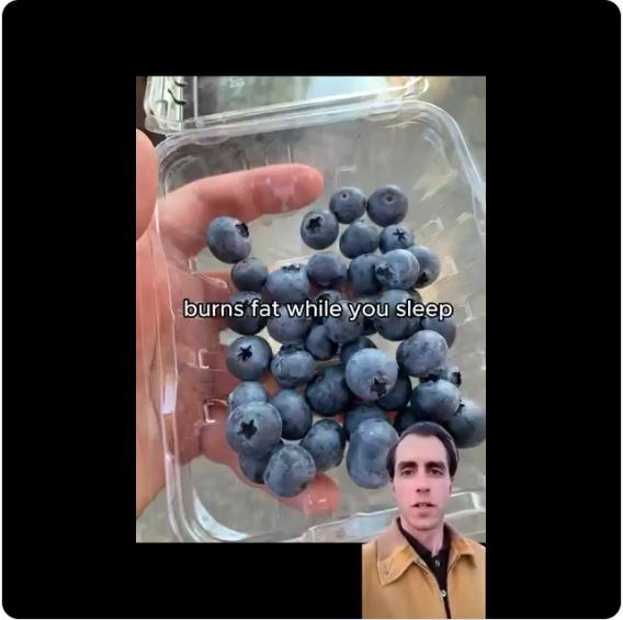 Fat Burning Blueberries
