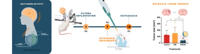 Ivermection Reduces Tumours