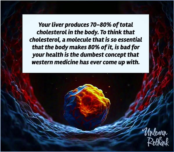 Liver and Cholesterol