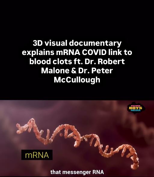 Visual Documentary On mRNA