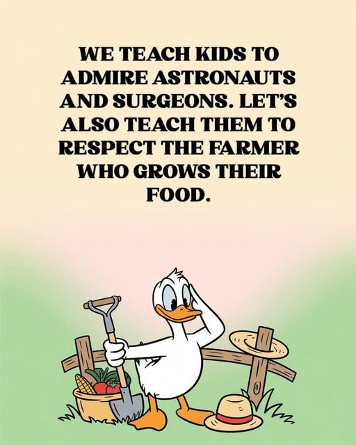 We Teach Kids...