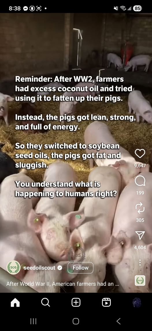 Coconut vs Seed Oils